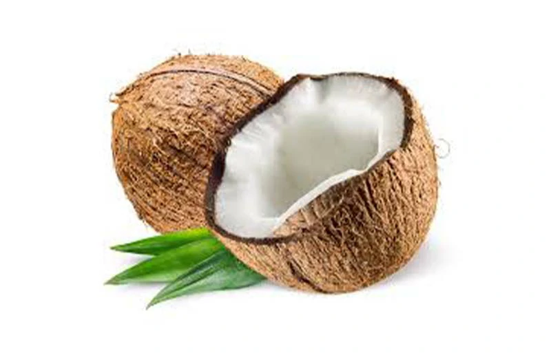 Coconut