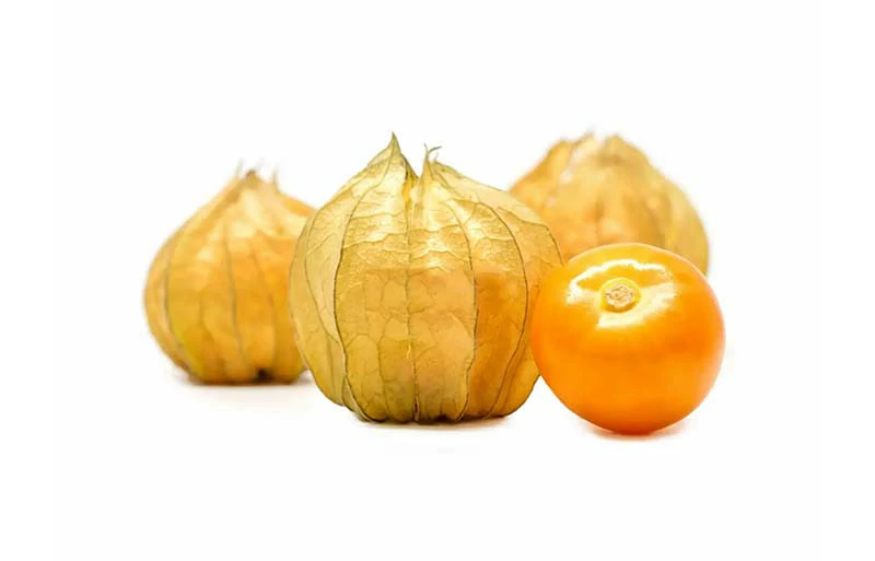Gaperi (Physalis Fruit)