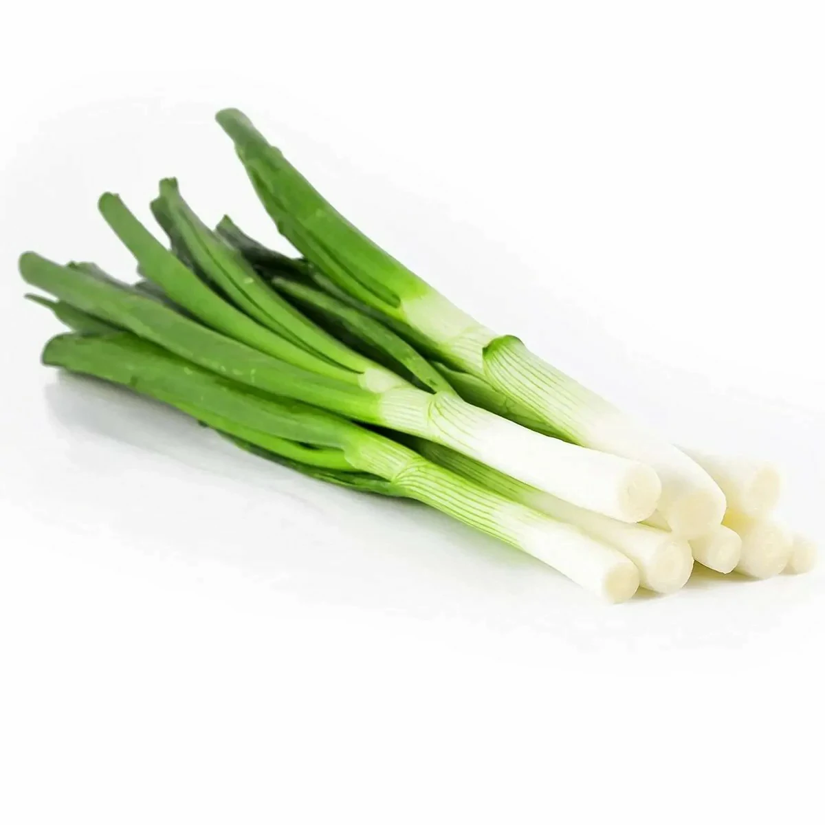 Onion Leeks